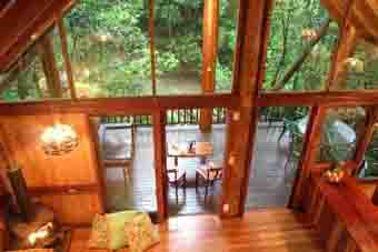 1371.treehouse_from_loft_sml_res.jpg