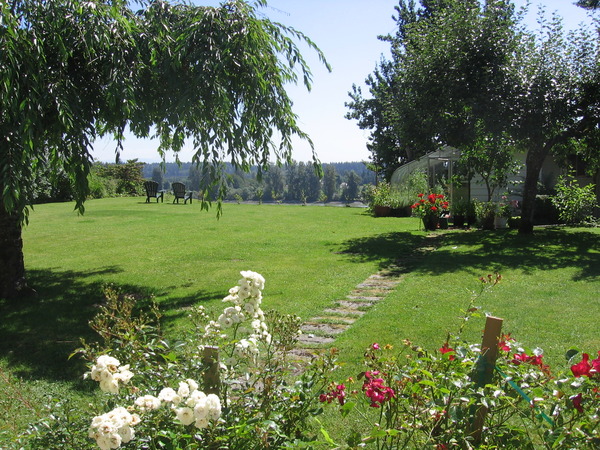 2221.21_roses_and_view_from_the_patio.jpg