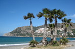317.tn-beach_with_palm_trees.jpg
