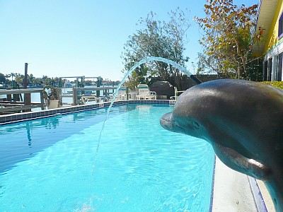 2859.dolphin_fountain_and_pool.jpg